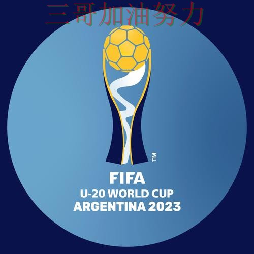 世界杯投注网站大全怎么选如何选？结合平台排行一次讲透（World Cup 2026）